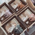 FAIRY & CO | Mon Coffret de la Fée des Dents - Rouille