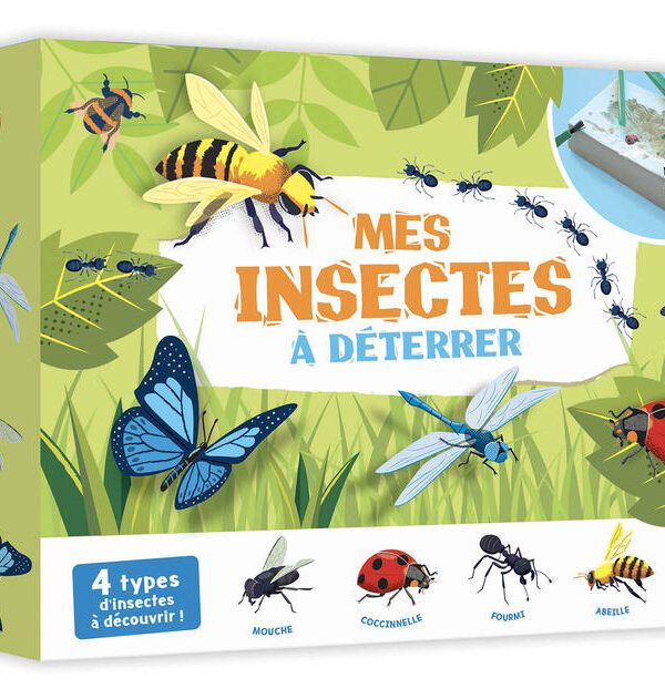 AUZOU | Mes Insectes à Déterrer