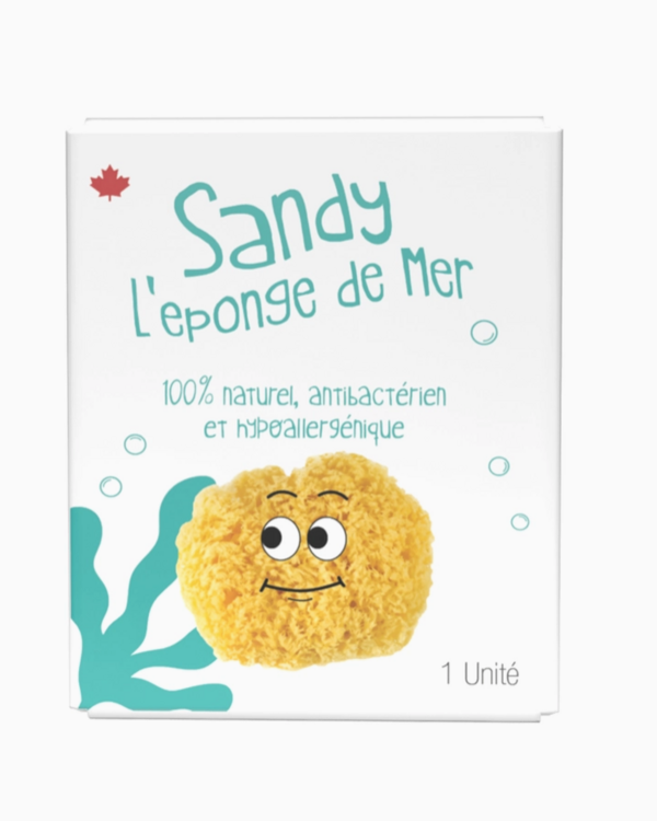 LOOT TOY | Sandy l'éponge de mer