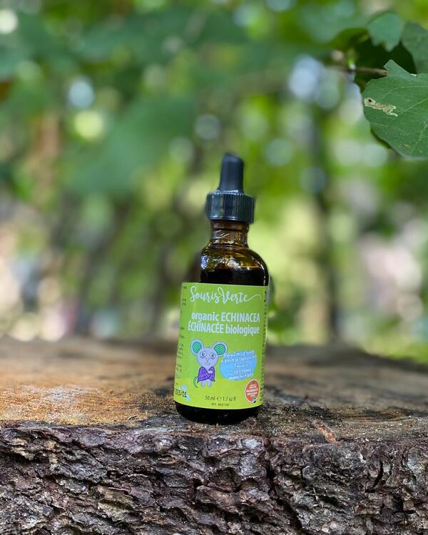 SOURIS VERTE | Échinacée - 50 ml