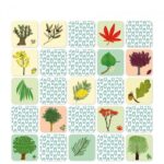 PIROUETTE CACAHUÈTE | Mes Mémos Rigolos - L'arbre et sa feuille