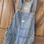 LEVIS | Salopette Baggy Overalls (Small)